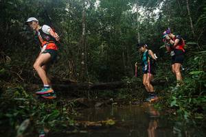 BIB: 
                            <button type="button" onclick="openModal(22493533)" class="btn btn-primary btn-sm float-right btn-popup" data-toggle="modal" data-target=".modal-high-quality">
                        <i class="fas fa-shopping-cart"></i> Add to Cart
                    </button>
                                            <button type="button" onclick="isThisMe(22493533, true)" class="btn btn-success btn-sm float-right btn-popup btn-isme hidden" data-toggle="tooltip" data-placement="bottom" title="นี่คือรูปของคุณใช่ไหม คลิกที่นี่เพื่อเอาเข้าอัลบั้ม">
                        <i class="fas fa-plus"></i> Add to album
                    </button>
                    <button type="button" onclick="isThisMe(22493533, false)" class="btn btn-warning btn-sm float-right btn-popup btn-isnotme hidden">
                        <i class="fas fa-ban"></i> Remove from album
                    </button>